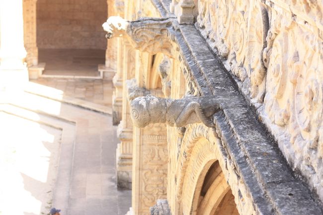 虫、上から。←えらい気に入ってしまった。