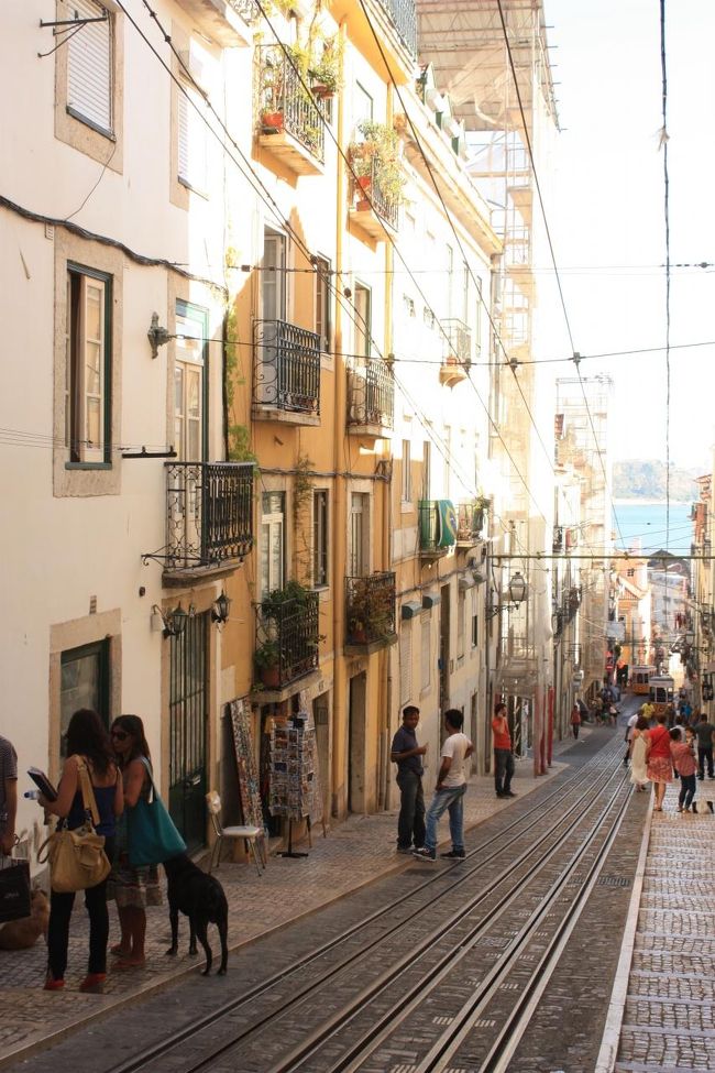 というわけで、プラン変更の上無事市電に乗ることができ、ビッカのケーブルカーの通る道へやってまいりました。こちらもサンタジュスタのエレベーターと同じような役どころ、急な坂道を上るためのもの。