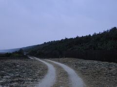 虹ノ松原。日本三大松原の一つ。他の二つは静岡県三保の松原と福井県気比の松原。