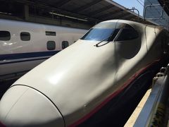 東北新幹線で仙台に向けて出発