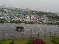 　モノレールの車窓から見た街の様子。雨です。
入国手続きの列が超長蛇で、１時間かかりました。またしても合言葉。
荷物のほうが先に来て、くるくると回っていました。