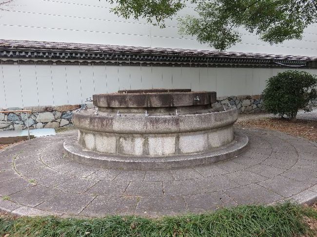 水飲み場、沢山ありすぎ。