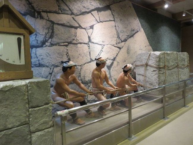 石引き体験が出来るので連れ挑戦。<br />他にも金鯱に跨っての撮影とかも出来る。しなかったけれど。