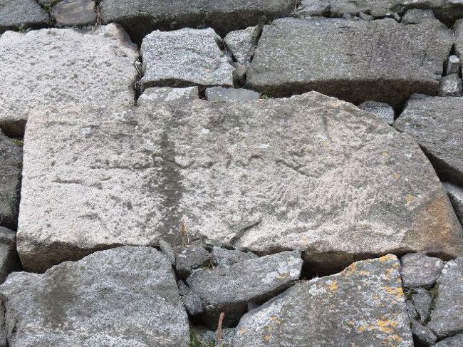 長い文章っぽいけど読めない。