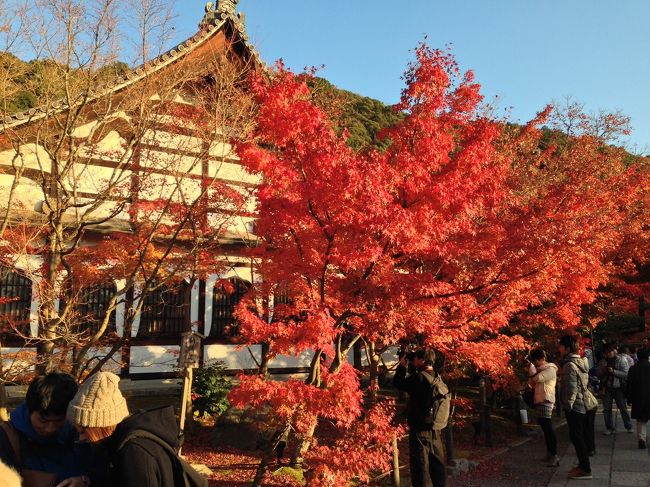 とにかく、どこに行っても赤、黄！<br />山の方は若干茶色くなって落ち始めてましたが、それでも圧巻！