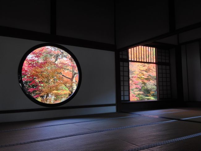 二日目は、少し足を伸ばして源光庵へ。<br /><br />悟りの窓と、血天井が見てみたかったので。<br /><br />いやー、哲学的な難しいことはわからない私ですが、悟りの窓を眺める景色は不思議と心が穏やかになる感覚が。<br /><br />窓の奥に見える、紅葉の色とりどりな様には、迷いも悟りもわからない私も魅了されるものがありました。