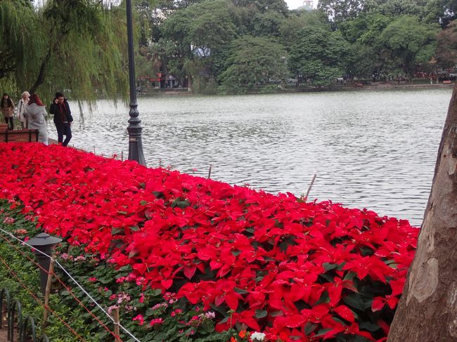 湖のほとりの花壇は素晴らしかった。<br />ハノイっ子のデートスポットでもある。