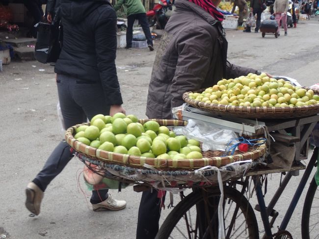自転車の上に乗せて。