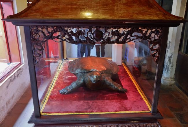 伝説の亀の剥製。<br /><br />かなりの大きさ。<br />剥製というかまるで鋳物のようでした。