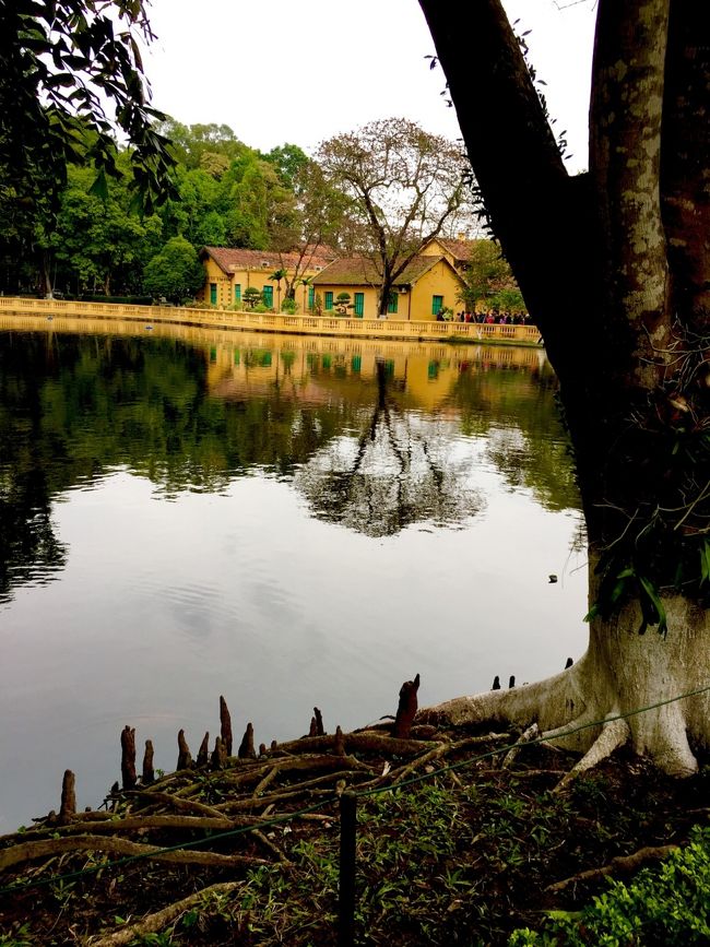 湖面に映る黄色は綺麗ですね
