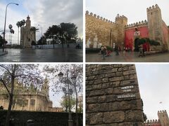 再びバスでセビリア市内観光。

世界遺産カテドラル、ヒラルダの塔は元旦の為、休館日。

