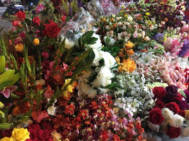 ここは造花通り<br />買おうと思って値段を聞いたら１本３ドルとかって<br />高いでしょって日本なら妥当だけどね<br />買わない