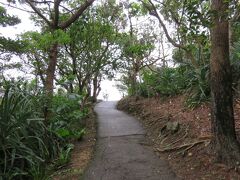 石垣空港のレンタカー屋さんから国道３９０号線を北に車を進めることおよそ２０分。
１５キロほど走ってまず最初は“玉取崎展望台”にやって来ました。
道路標識にも出ていますのですぐにわかるかと思います。
大きな駐車場に車を止めて遊歩道を歩きます。