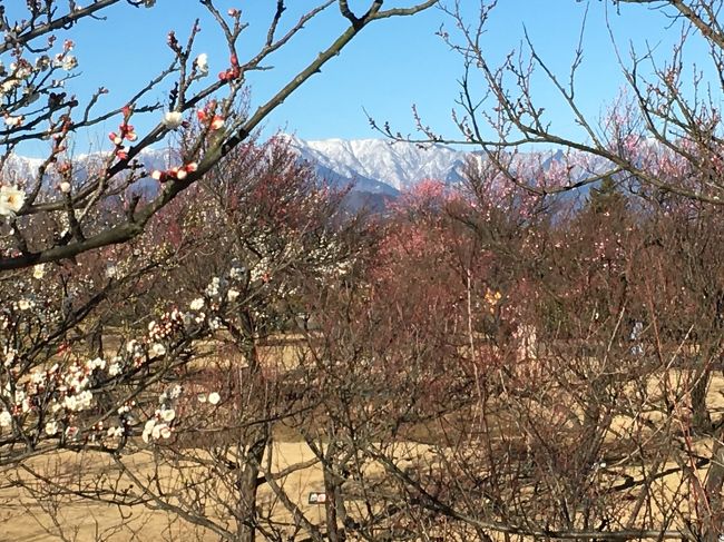 まるでアルプス〜