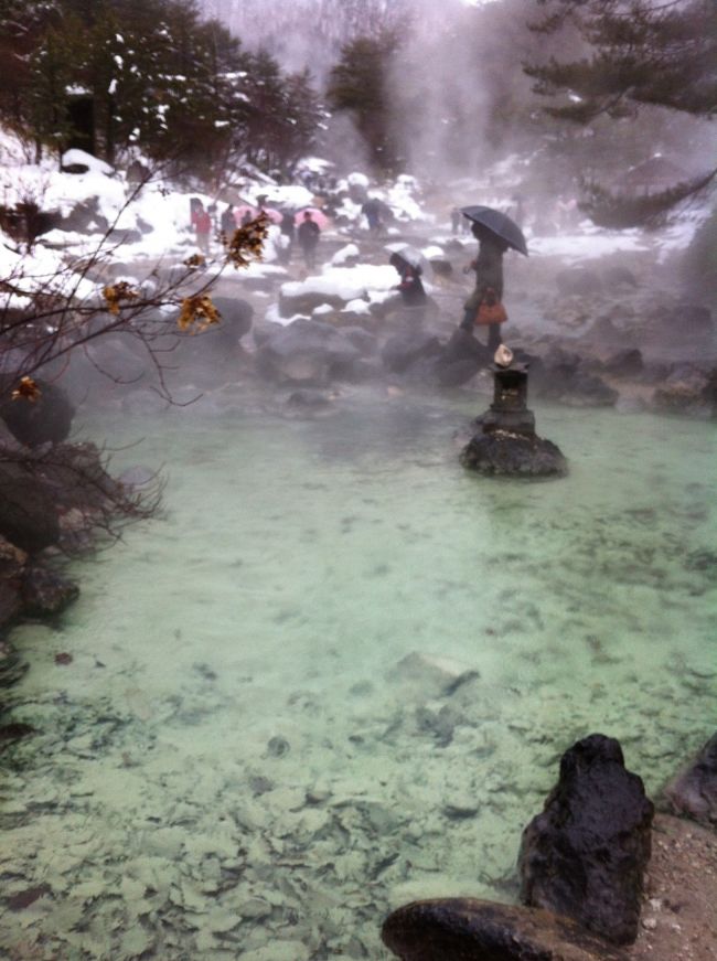 温泉街をプラプラとして、賽の河原へ。<br /><br />雪景色も、また一興でした。<br /><br />自然に囲まれた露天風呂があり、入ることもできます。