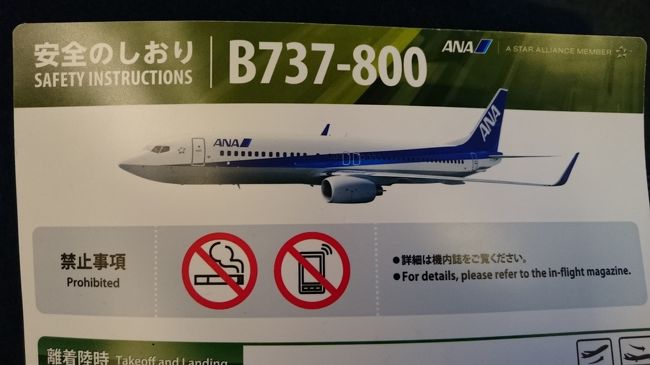 今日の飛行機は７３７