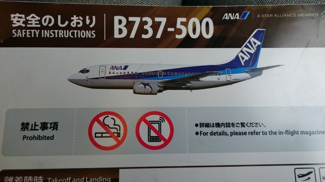 ７３７です。<br />同じ７３７でも羽の先端が跳ね上がっているものとそうでないものがあるんですね。<br />