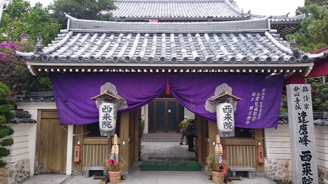 沖縄は、独特の文化があるのでお寺とかないかと思ってたのですが、<br />普通にありますね。