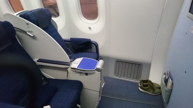 こんなシートです。