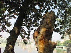 鎮国寺に到着。珍しそうな石がある。１３時５１分
この寺にはホンノンボ（ベトナムの盆栽）がある。