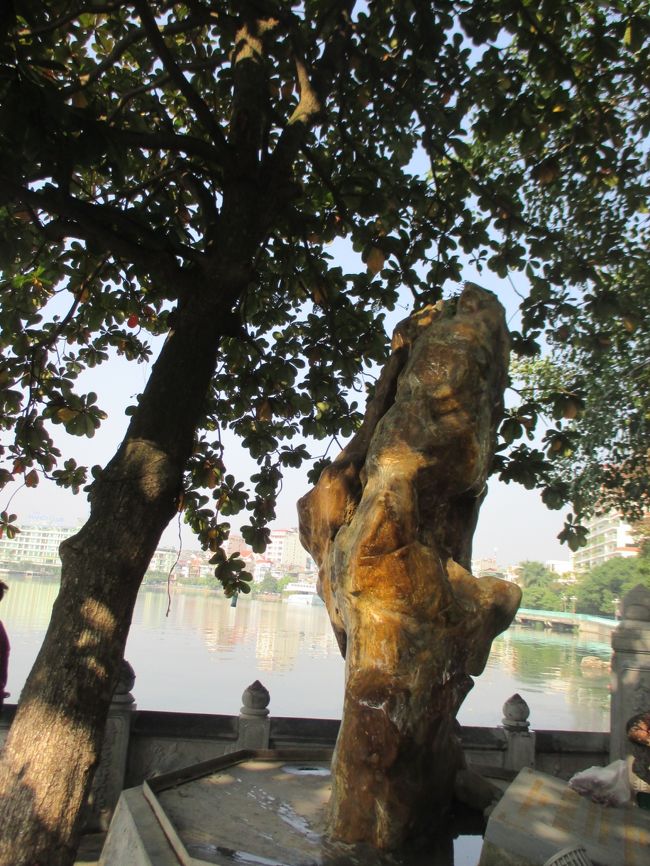 鎮国寺に到着。珍しそうな石がある。１３時５１分<br />この寺にはホンノンボ（ベトナムの盆栽）がある。