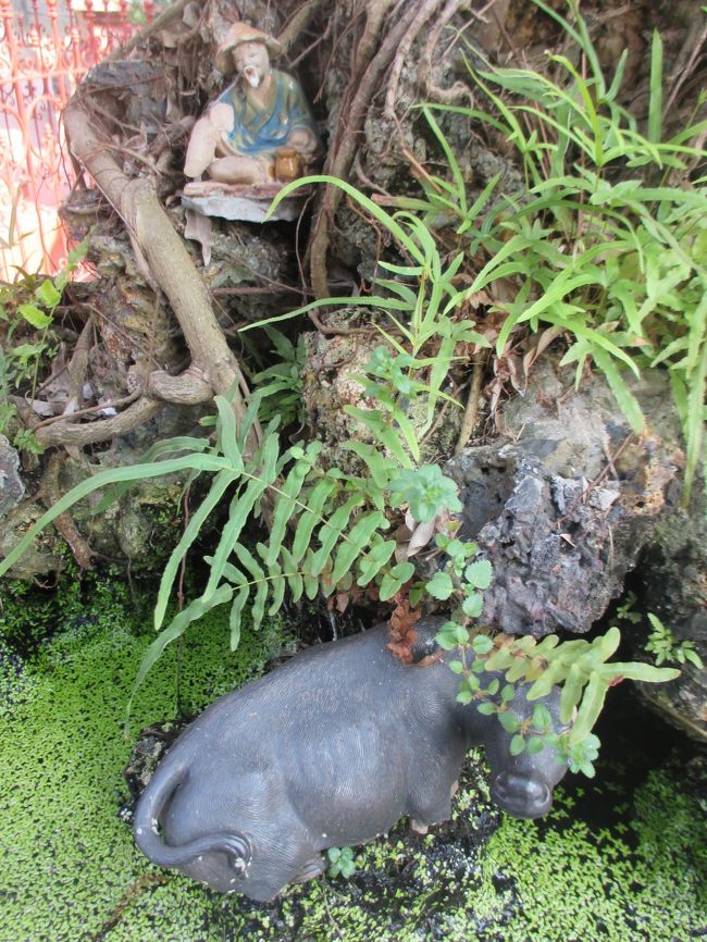 老人と牛。<br /><br />牛は仏教における「悟り」の象徴。<br />十牛図（じゅうぎゅうず）と言う、禅の悟りにいたる道筋を牛を主題とした十枚の絵で表したものがある。