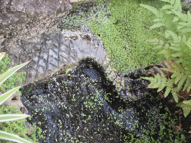 石畳の小道だろうか。