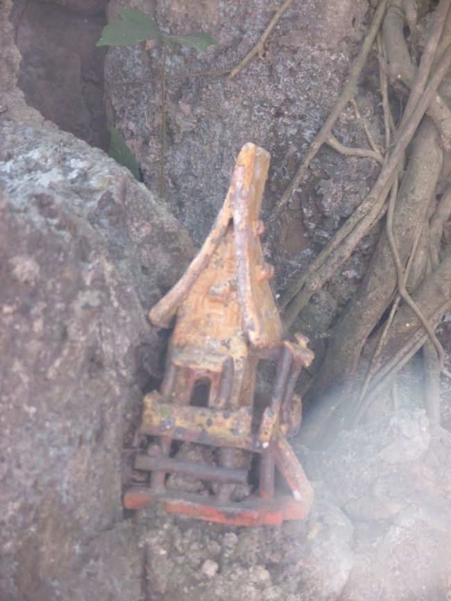 ベトナムのホンノンボは写実的でもある。