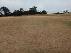 潮岬望楼の芝生
この小雨の寒空の中、かつ枯草では
ごろんとはちょっとしたくない