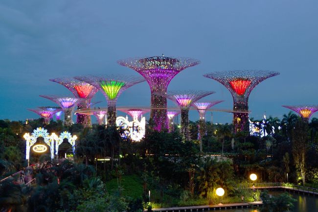 ガーデンズ・バイ・ザ・ベイ<br />夜のライトアップは音楽と光の点滅で綺麗ですよ。<br />一見の価値あり。
