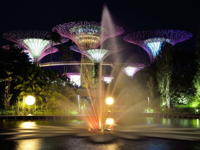 ドラゴン・レイクには噴水があり、ライトアップされて素敵です。<br />とんぼのモニュメントも有りましたよ。