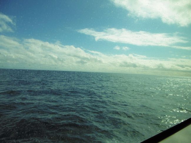 こうして写真を撮ることもできた。