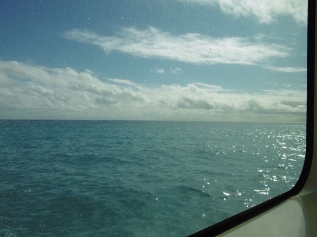 昨年は揺れが激しくて、写真もろくに撮れなかったのだ。