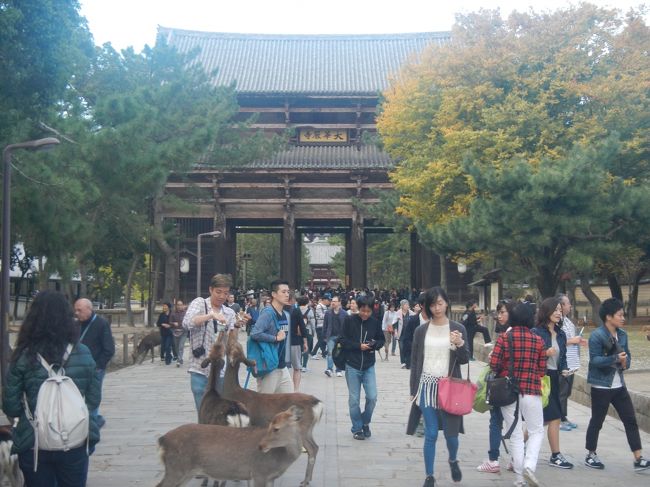 東大寺南大門。<br />ここまで来たのは１０年ぶりぐらいか。