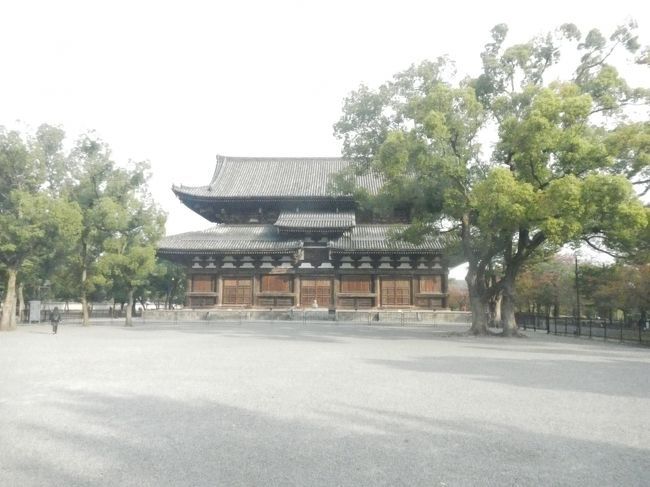 東寺金堂。