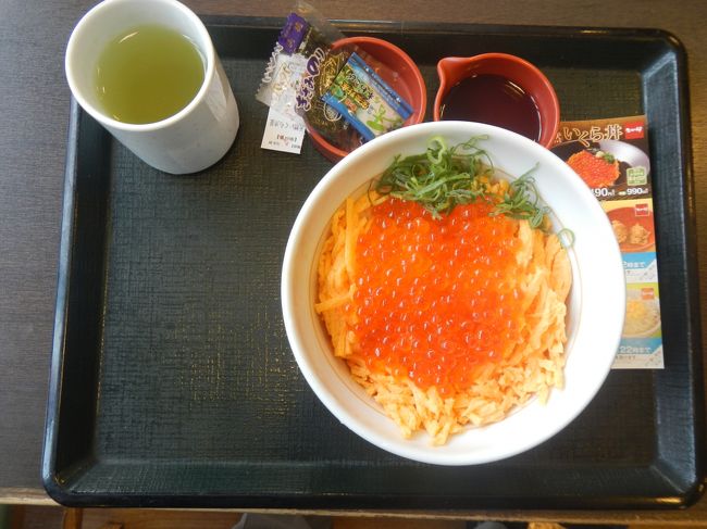 京都駅前のなか卯でいくら丼を食べる。<br /><br />京都まで来ていくら丼を食べる必要もないのだが、つい食べてしまった。