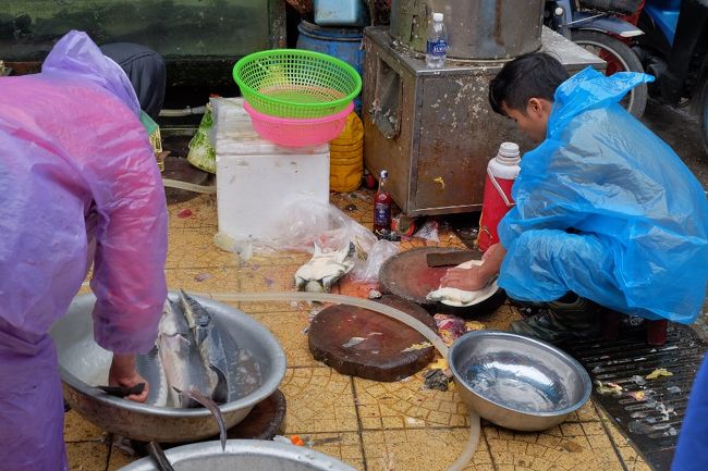 伝説の亀が救った地なのにもっと大事に扱わなくていいの？？<br /><br />今度は午前中の市場に入ってみる。