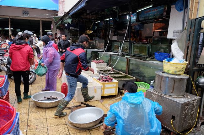 なかなか無残な光景が当たり前のように繰り広げられていましたがさすがにショッキングでした。<br /><br />特に亀。（閲覧注意！）