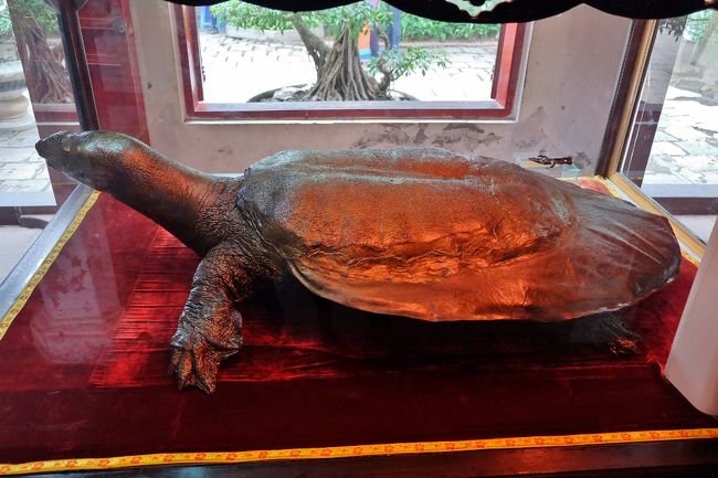 午前中残り時間、旧市街エリアを散策。<br /><br />ベトナムらしい売り子さんたち。