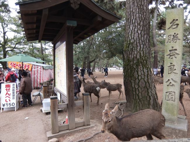 奈良公園。