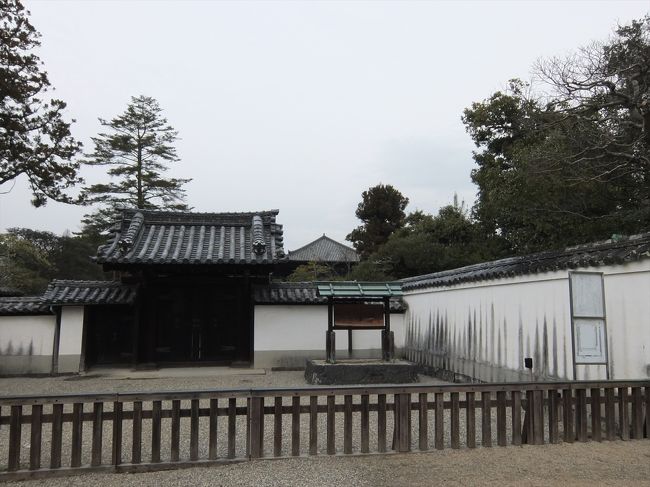 たぶん奥に見えるのが正倉院。