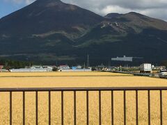 そして磐梯山を横目に、会津とはお別れです。歴史を直に触れ肌で感じたことはとても貴重な経験になりました。
是非また来たい場所ですね(^ ^)