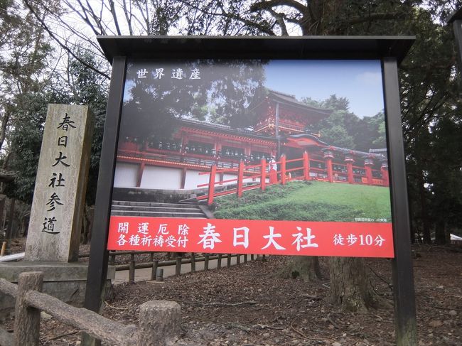若草山焼きは、春日の大とんどからスタート。