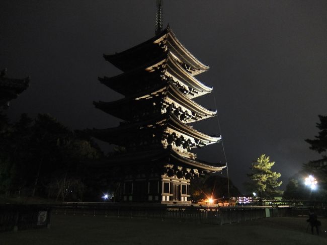 夜の興福寺の五重塔。
