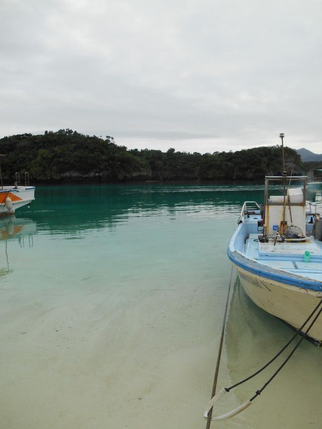 本当に人工なんじゃないかと思うほどの色。<br />曇っているのに、若干まぶしいです。