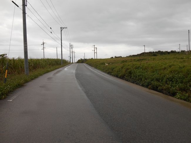 こーんな感じの道を、ひたすら走ります。<br />途中、すれ違った車は三台。<br />見かけた観光客も数人。<br /><br />あ、向こうに白いシャツ着たおじいさんがいる〜