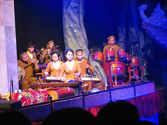 水上人形劇を鑑賞します。さほど大きな劇場ではありません。水がはられたステージに向かって左手でベトナム伝統楽器の演奏が行われます。なお、見に来ている人はほぼ全員観光客だと思います。