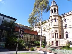 南オーストラリア博物館。
入場料無料です。