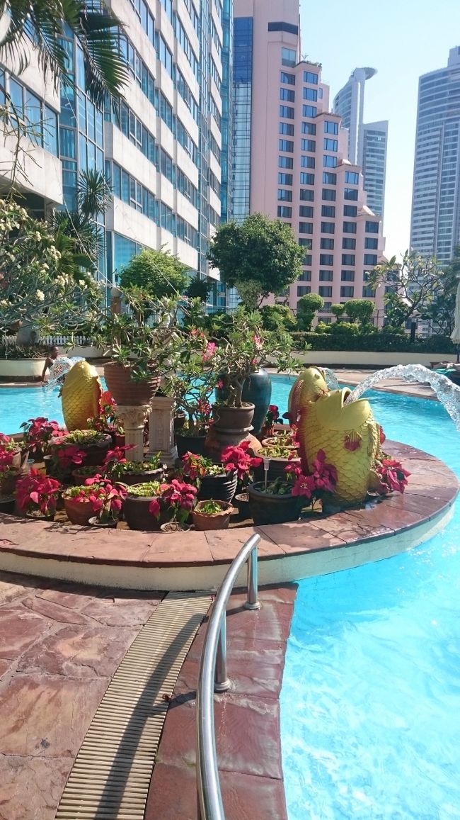 好みは分かれると思いますが、このセンス嫌いじゃない笑