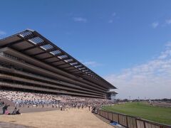東京競馬場